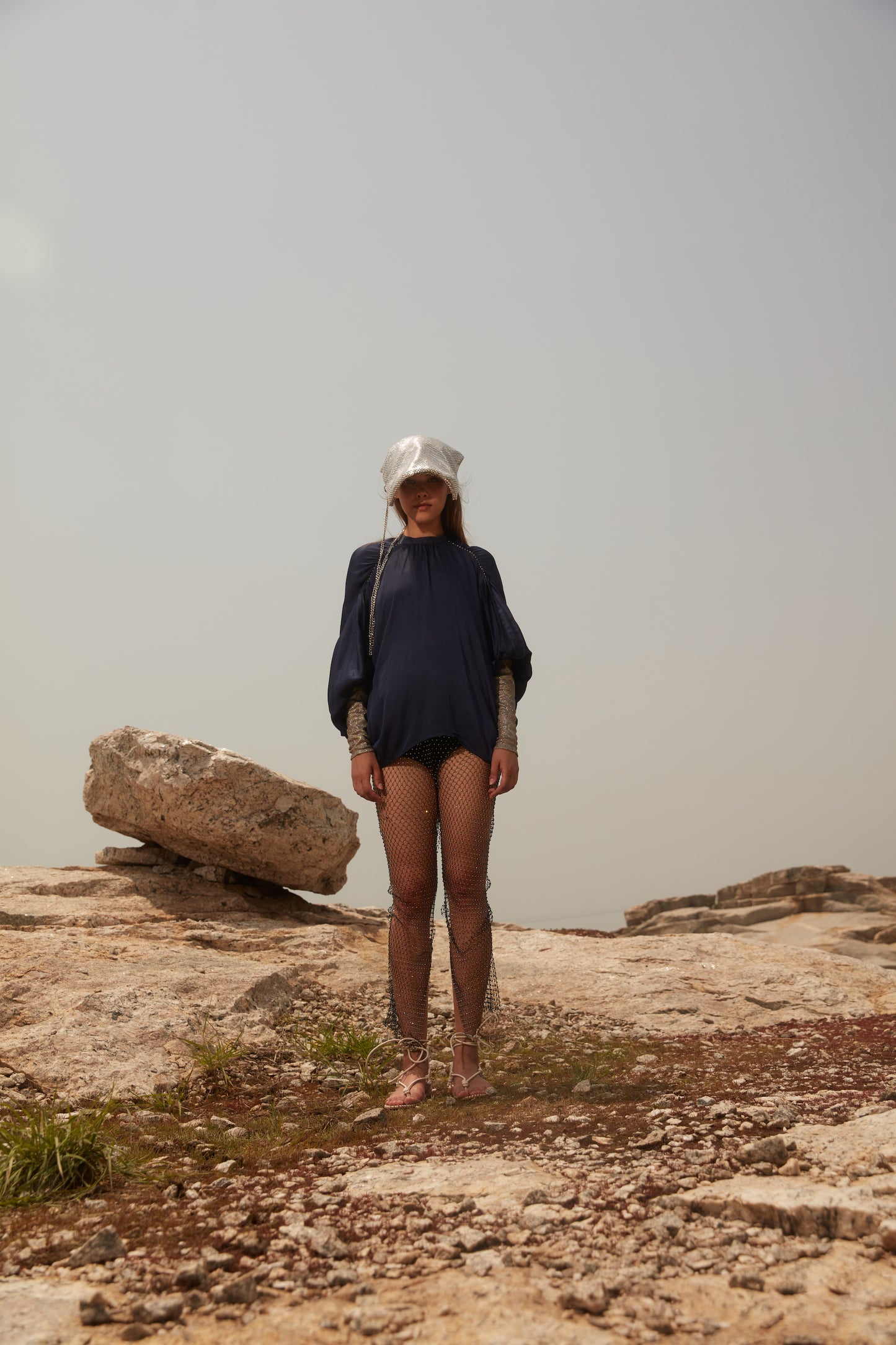 Butterfly Top with Metallic Sleeves