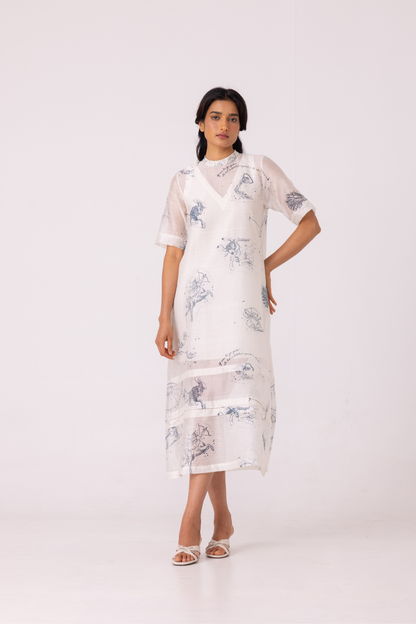 Larisa Zodiac Print Handwoven Dress